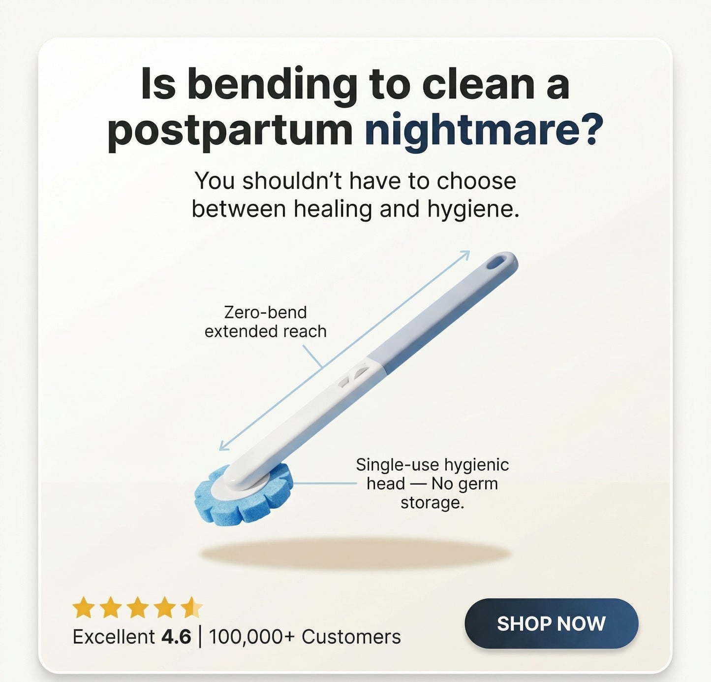 The PostPartum Disposable Toilet Brush